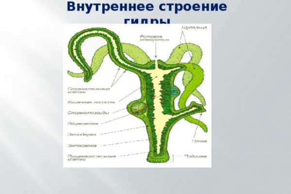 Кракен сайт kr2web in зеркало рабочее