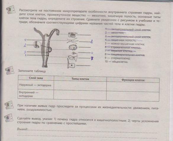 Кракен магазин наркотиков