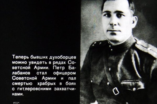Кракен ссылка trikky